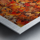 Autumn Carpet Impression metal