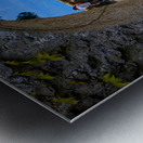 Garden of Colors Impression metal