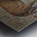 Mother’s Nudge Impression metal