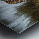 Cheetah by the Water Metal print