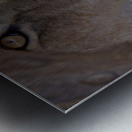 Close Look Metal print