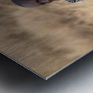 Masai Vendor Metal print