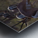 Impala Clash Impression metal