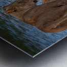 Waterfront Curiosity Impression metal