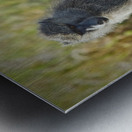 Mother’s Hold Impression metal