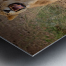 Roar of the Morning Impression metal