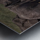 Mud Bath Ritual Impression metal