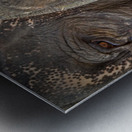 Ancient Companions Metal print