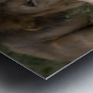 Royal Rest Metal print