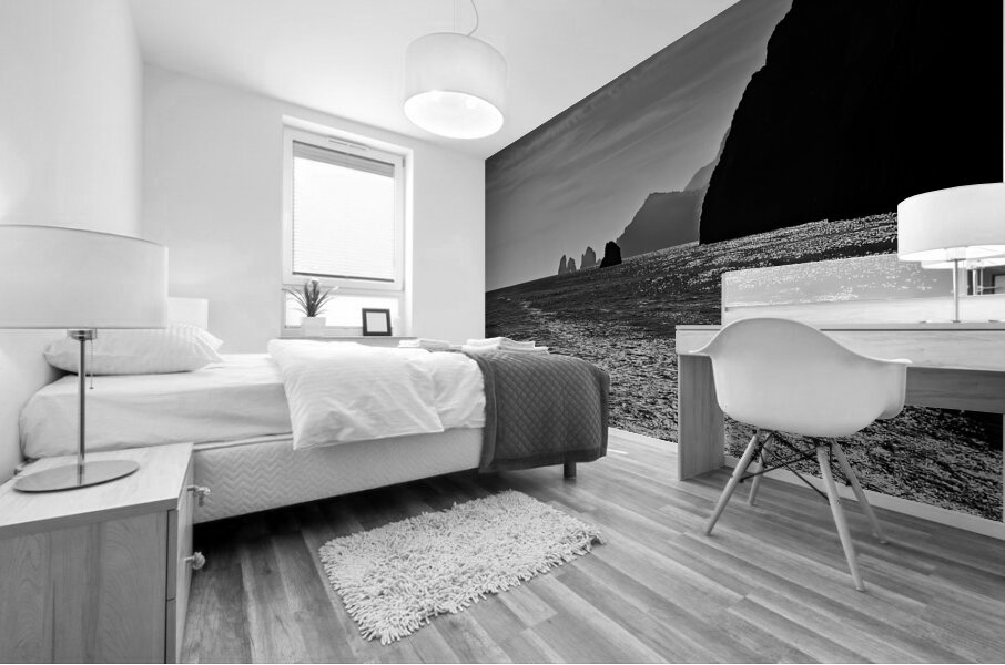 Shimmering Coastline Mural print