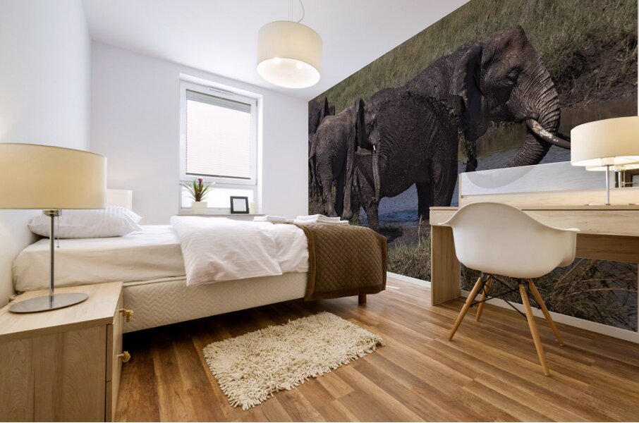 Mud Bath Joy Mural print