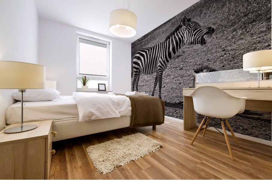 Zebras at Rest Mural print
