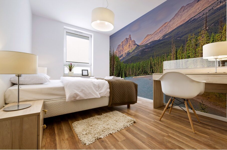 River of the Rockies Mural print