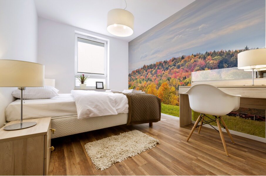  Autumn’s Quiet Meadow Mural print