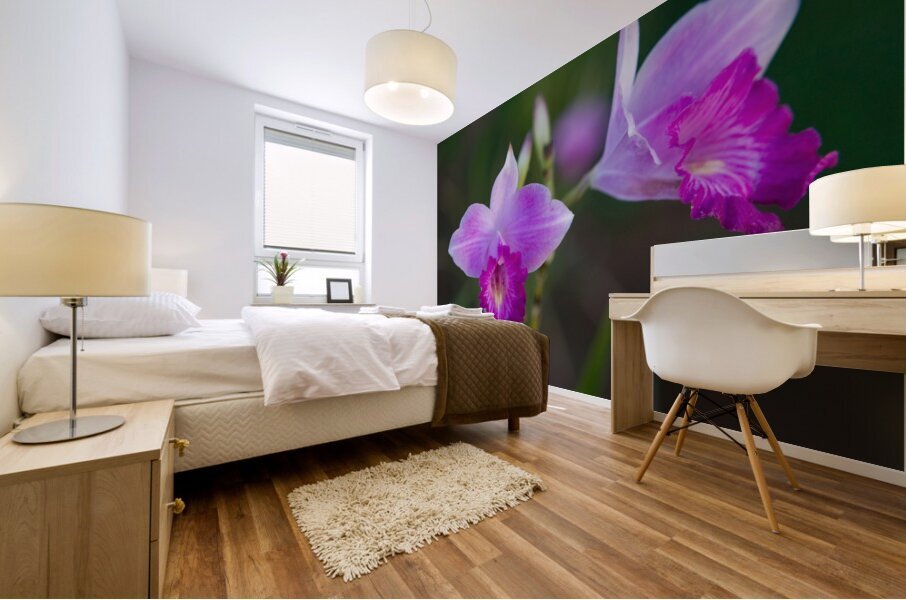 Purple Orchid Pair Impression murale