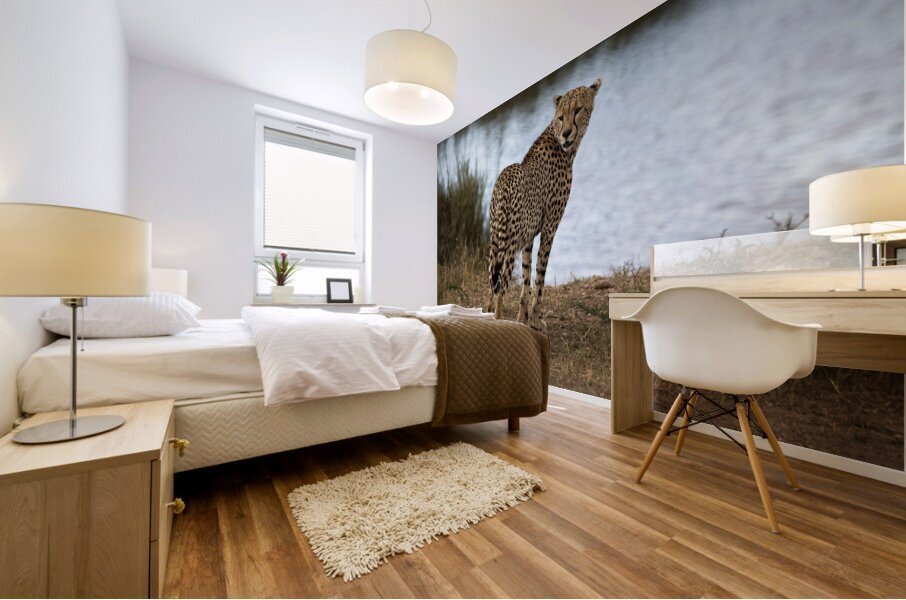 Cheetah by the Water Mural print