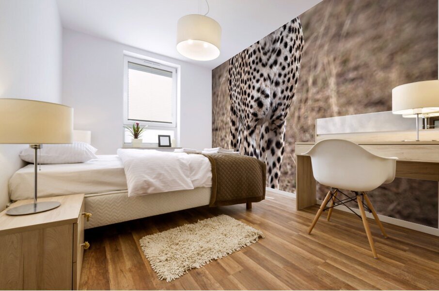 Cheetah Walk Mural print