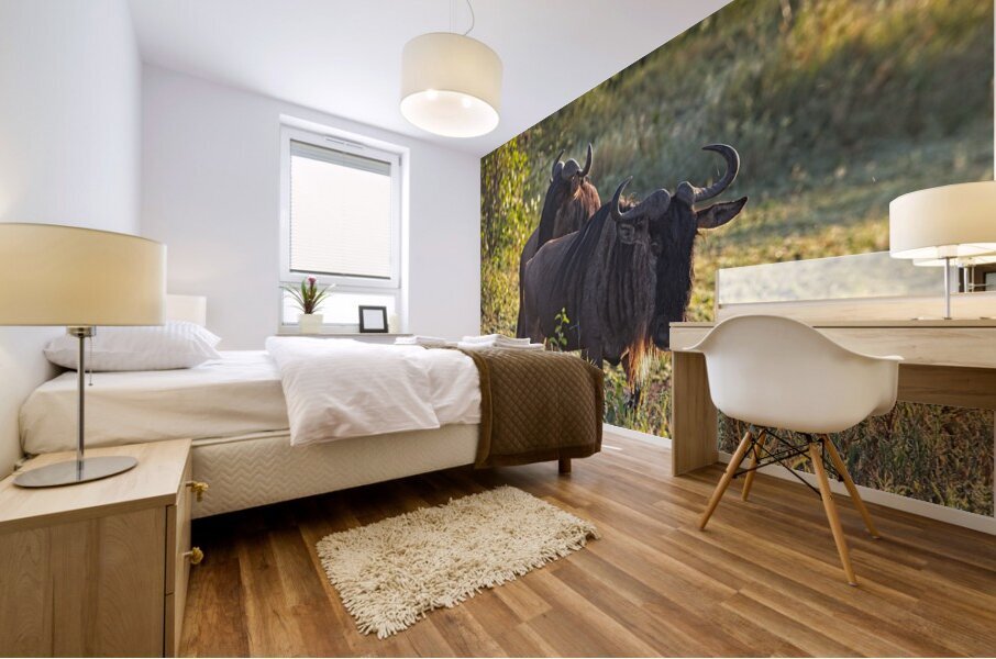 Wildebeest Pair Mural print