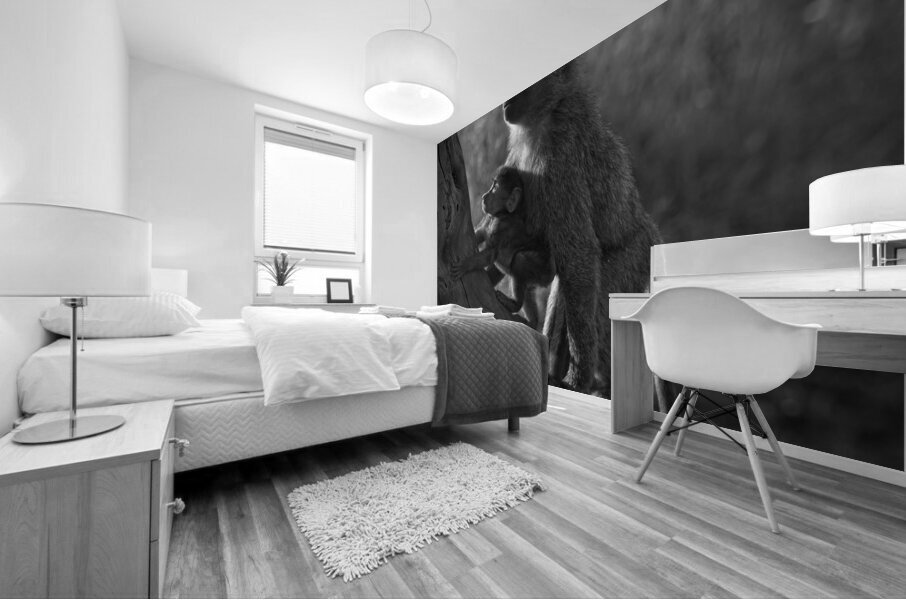 Baboons in Morning Light Impression murale