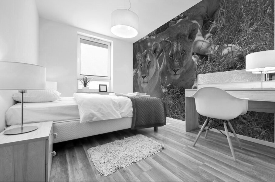 Sisters of the Savannah Impression murale