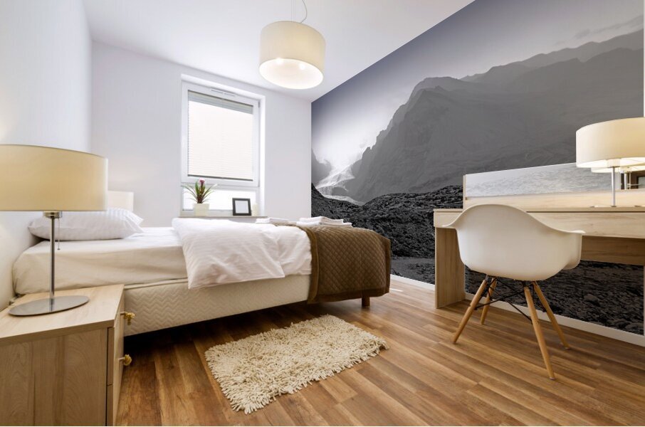 Frozen Kingdom Mural print