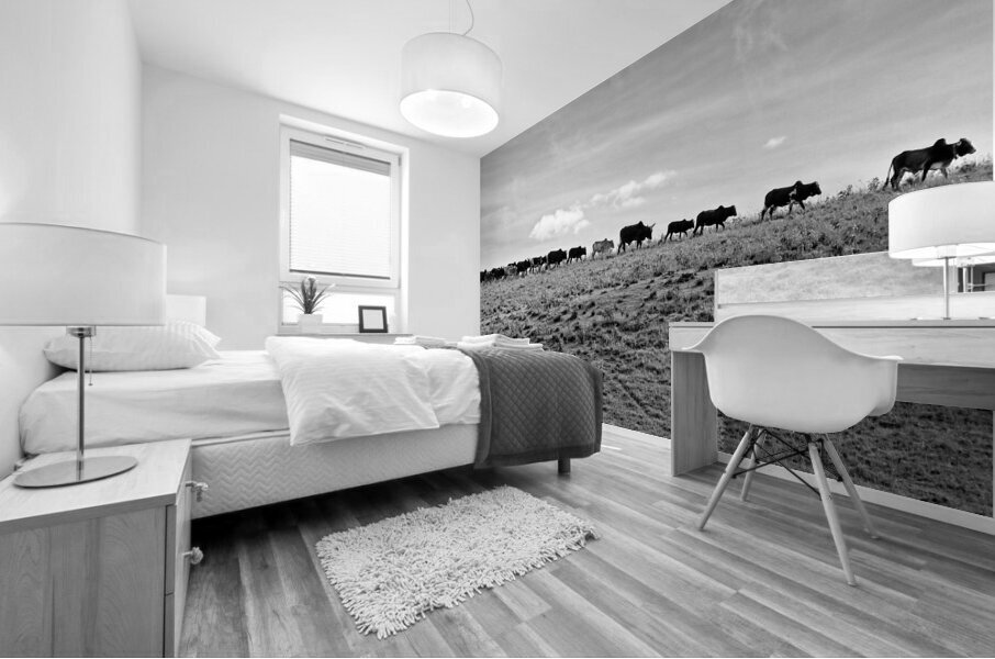 The Long Walk Home Impression murale