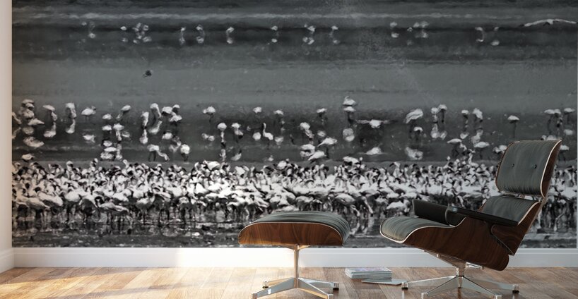 Flame of the Canopy Wall Murals