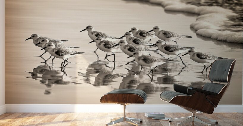 Gentle Pursuit Wall Murals