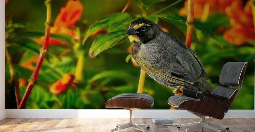 Sunlit Garden Glow Wall Murals