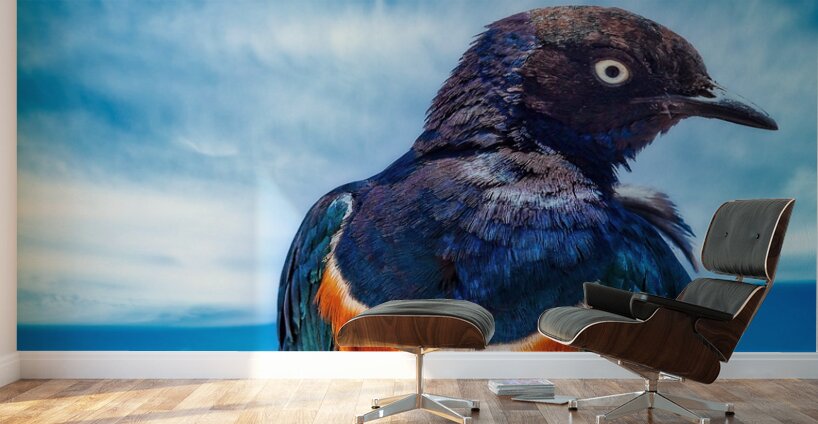 Skyfire Starling Wall Murals