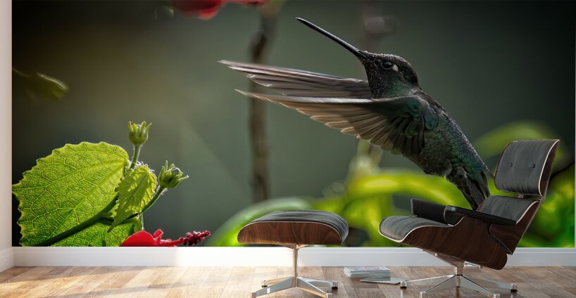 The Nectar Dancer Wall Murals