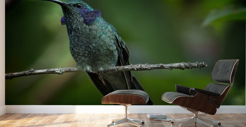 Emerald Whisper Wall Murals