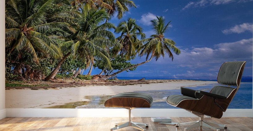 Tropical Shoreline Paradise Wall Murals