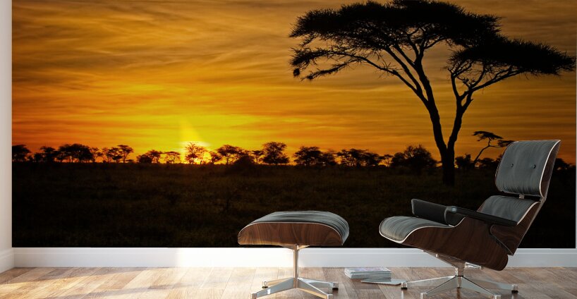 Savanna Gold Wall Murals