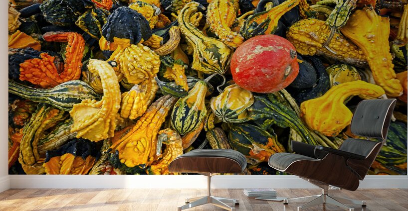 Harvest Chaos Wall Murals