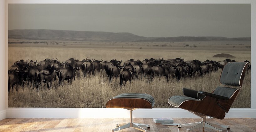 Journey of the Herd Wall Murals