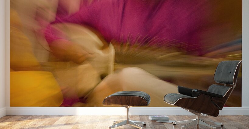 Music in Motion Wall Murals