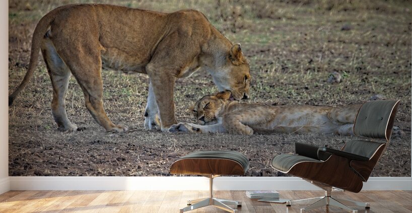 Mother’s Nudge Wall Murals