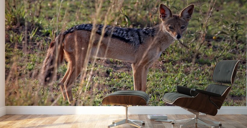 Silent Watcher of the Plains Wall Murals