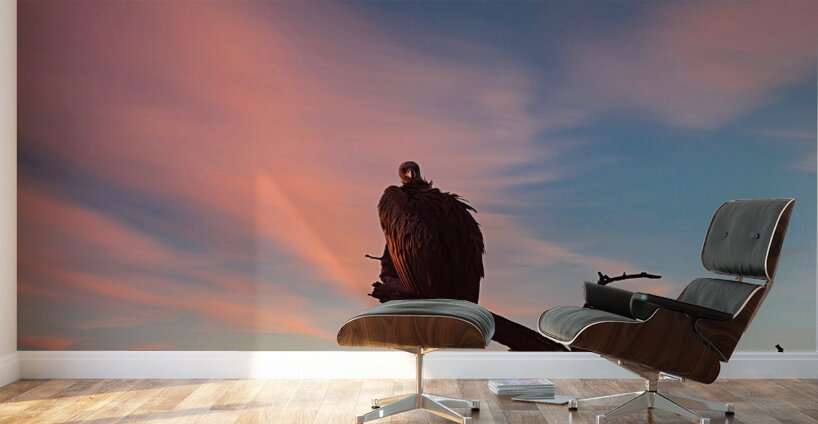 Sky Watcher Wall Murals