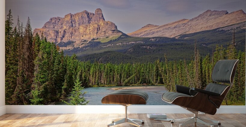 River of the Rockies Wall Murals