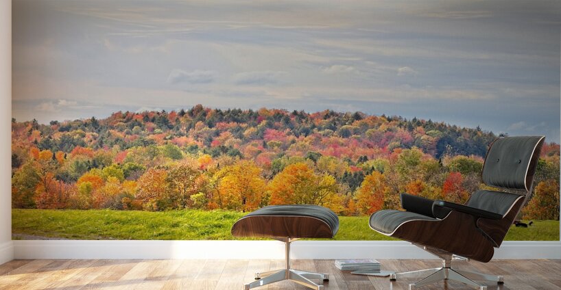  Autumn’s Quiet Meadow Wall Murals