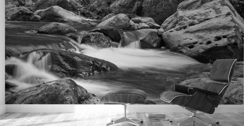 Nature’s Soft Flow Wall Murals