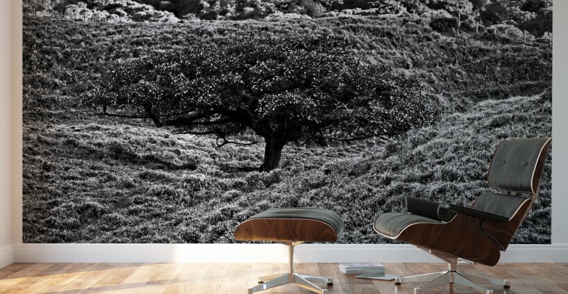Lone Tree in the Hills Wall Murals