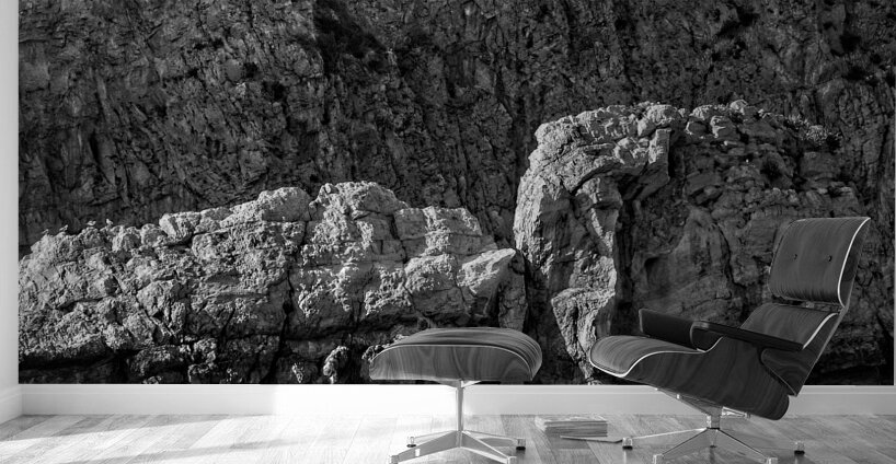 Stone Giants by the Sea Wall Murals