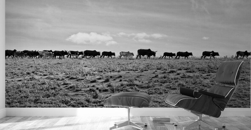 The Long Walk Home Wall Murals