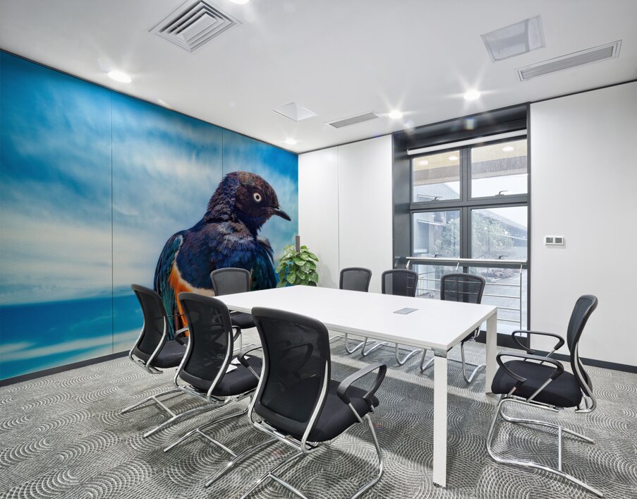 Skyfire Starling Wall Printing