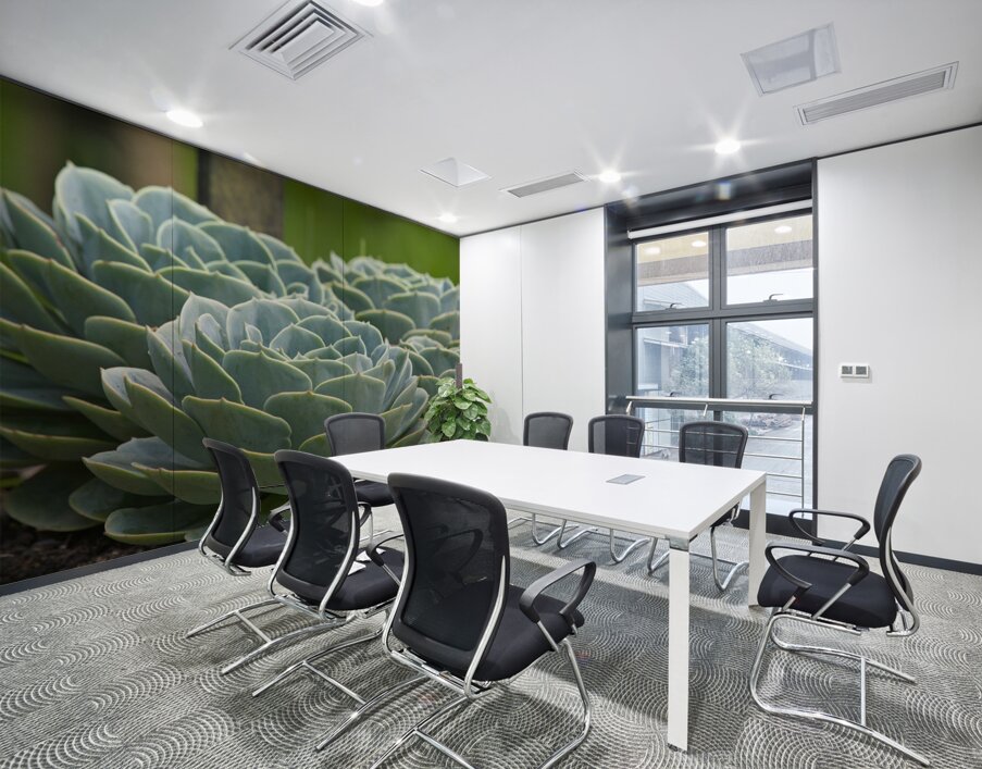 Succulent Rosettes Wall Printing