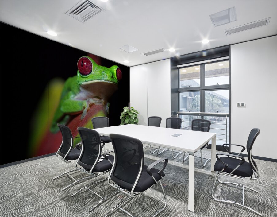 Red-Eyed Tree Frog Wall Printing