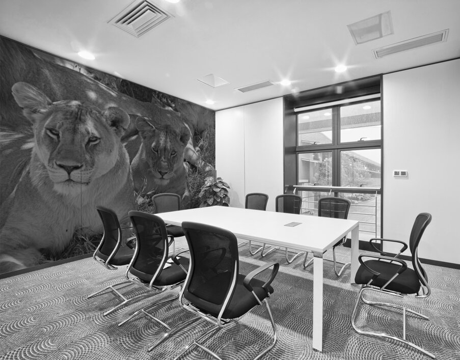 Sisters of the Savannah Wall Printing